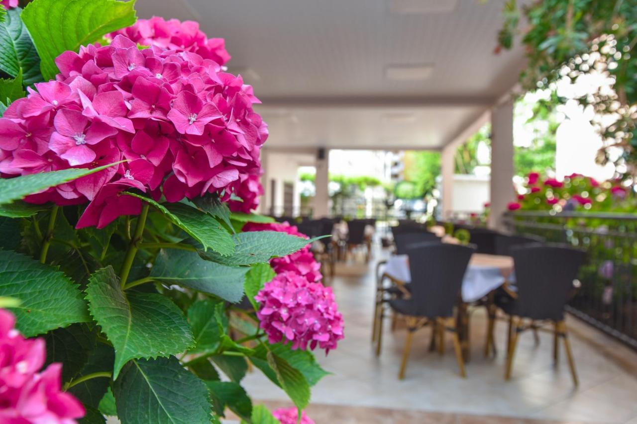 Hotel Suzana בודווה מראה חיצוני תמונה