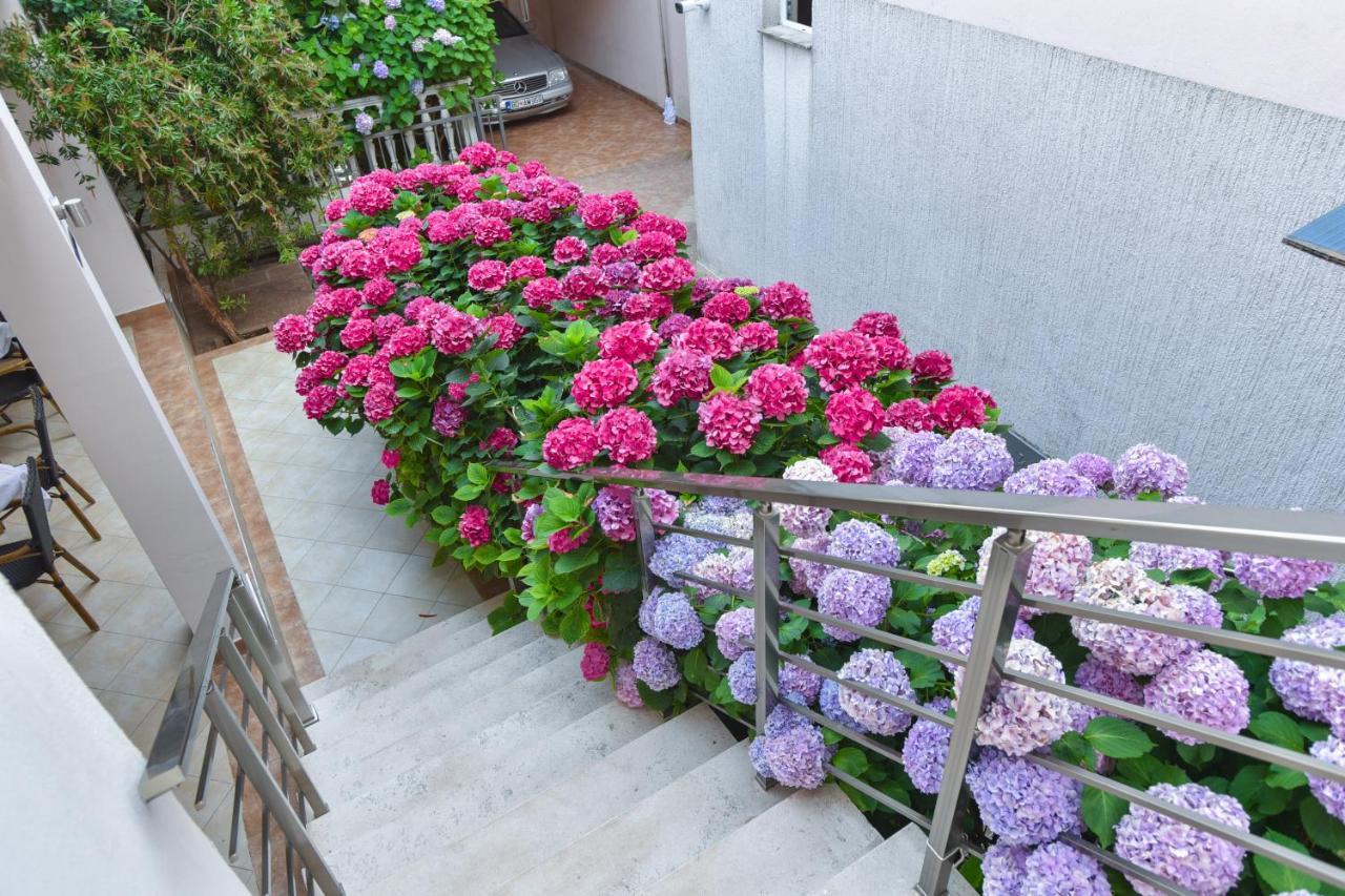 Hotel Suzana בודווה מראה חיצוני תמונה
